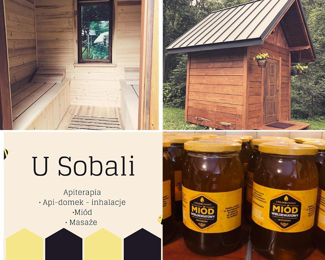 U Sobali Villa Groń Екстериор снимка