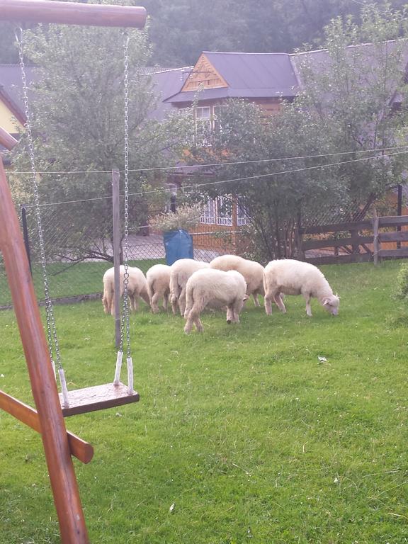U Sobali Villa Groń Екстериор снимка